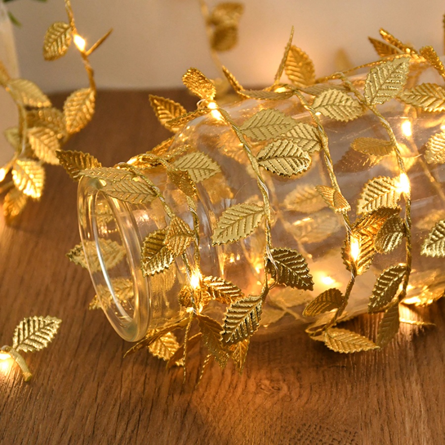 Outdoor Power For Wedding - Luzes de Fada com Cordão de