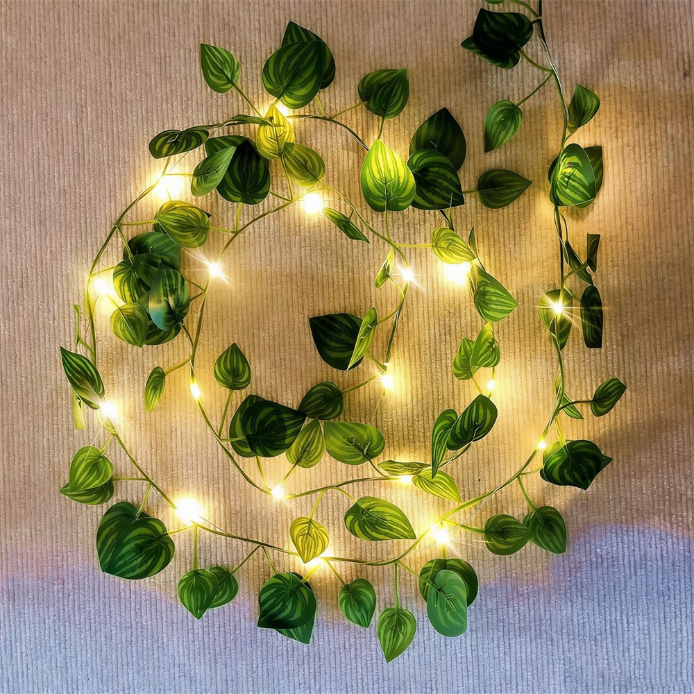 Cordão de Luzes LED Verde com  - Outdoor Power For Wedding avaliação e preço