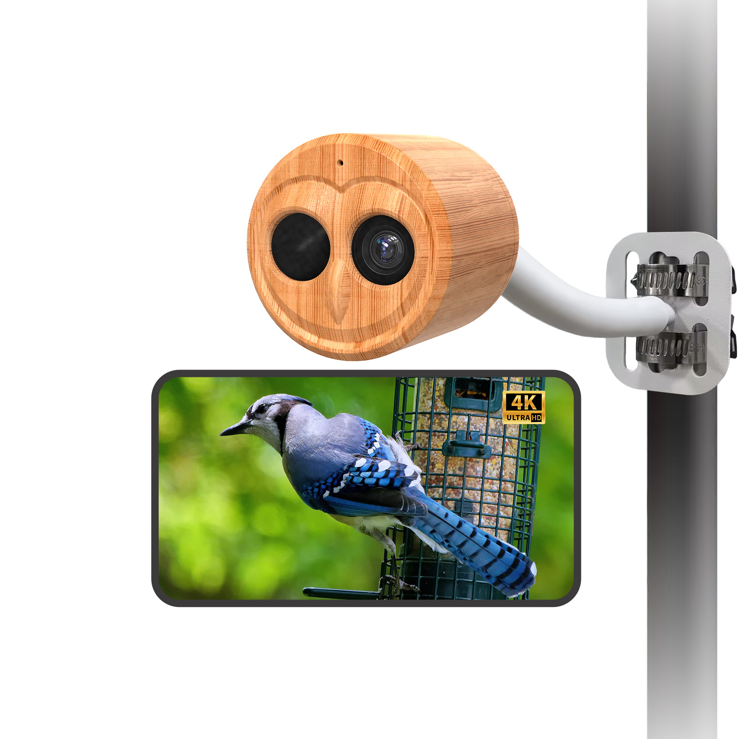 Alimentador de Pássaros Inteli - Power Outdoor avaliação e preço