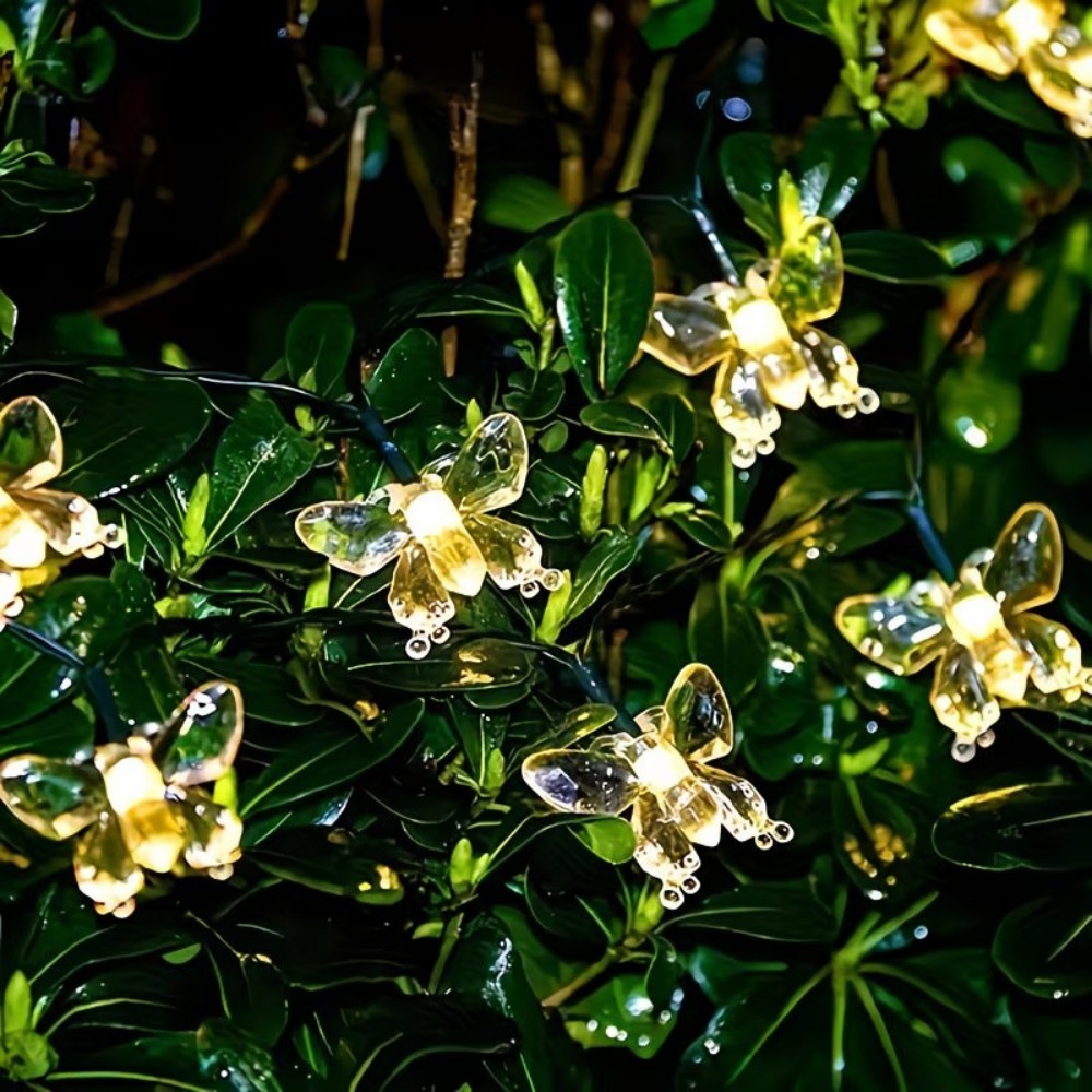 Luzes de Fada em Cristal para  - Outdoor Power For Wedding avaliação e preço