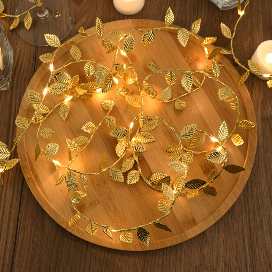Luzes de Fada com Cordão de Fi - Outdoor Power For Wedding avaliação e preço