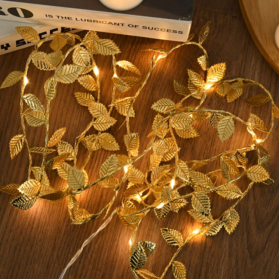 Luzes de Fada com Cordão de Fi - Outdoor Power For Wedding avaliação e preço