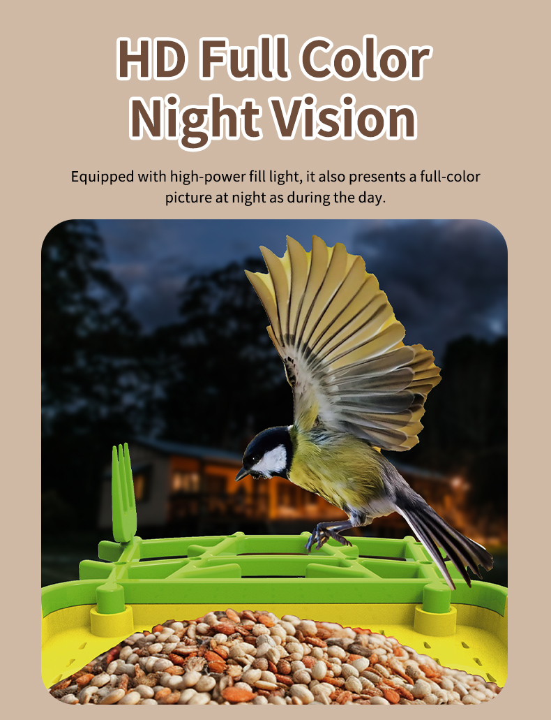 STLFSmart Bird Feeder HD Camer - Power Outdoor avaliação e preço
