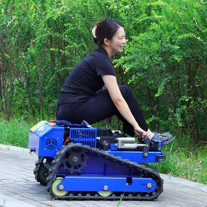Cortador de Grama Robô Persona - Hedge Trimmer Cordless avaliação e preço
